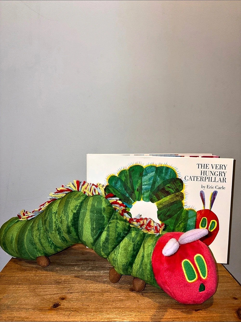 Kohls Cares The Very Hungry Caterpillar Plush Toy with Book Green & Red